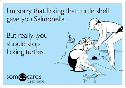 I'm sorry that licking that turtle shell gave you Salmonella.But really...youshould stop licking turtles.