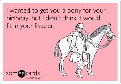 I wanted to get you a pony for your birthday, but I didn't think it would fit in your freezer.