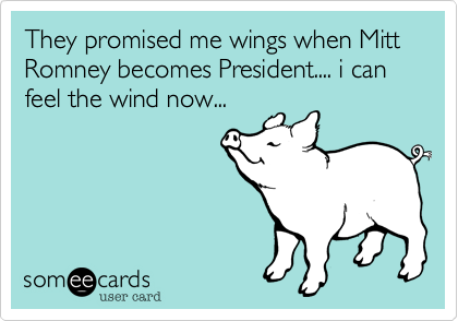 They promised me wings when Mitt Romney becomes President.... i can feel the wind now...