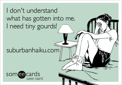 I don't understand
what has gotten into me. 
I need tiny gourds!


suburbanhaiku.com
