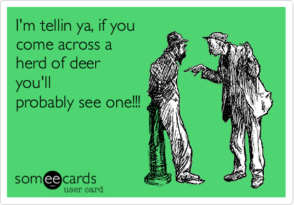 I'm tellin ya, if youcome across aherd of deeryou'llprobably see one!!!