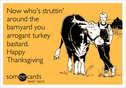 Now who's struttin'
around the
barnyard you
arrogant turkey
bastard.
Happy
Thanksgiving