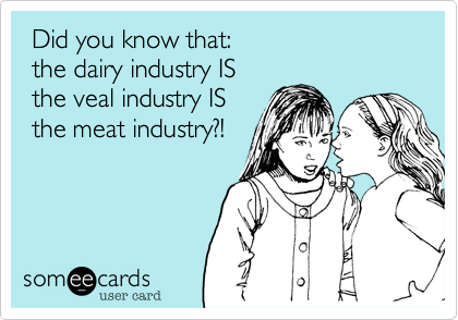  Did you know that: 
 the dairy industry IS 
 the veal industry IS
 the meat industry?!
