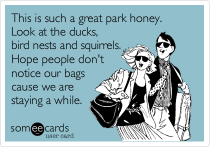 This is such a great park honey.  Look at the ducks,
bird nests and squirrels.
Hope people don't
notice our bags
cause we are
staying a while.