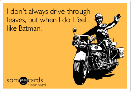 I don't always drive through
leaves, but when I do I feel
like Batman.