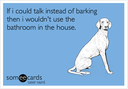 If i could talk instead of barking then i wouldn't use the
bathroom in the house.