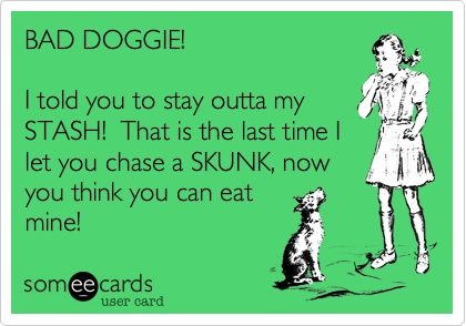 BAD DOGGIE!

I told you to stay outta my
STASH!  That is the last time I
let you chase a SKUNK, now
you think you can eat
mine!