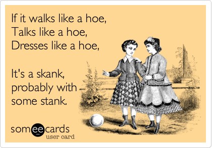 If it walks like a hoe,
Talks like a hoe,
Dresses like a hoe,

It's a skank,
probably with
some stank.