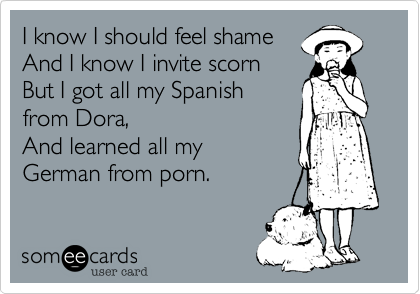 I know I should feel shame
And I know I invite scorn
But I got all my Spanish
from Dora,
And learned all my
German from porn.
