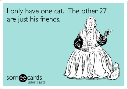 I only have one cat.  The other 27 are just his friends.