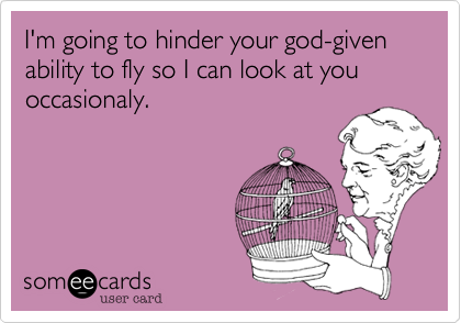 I'm going to hinder your god-given ability to fly so I can look at you occasionaly.