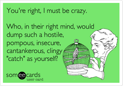 You're right, I must be crazy. 

Who, in their right mind, would dump such a hostile,
pompous, insecure,
cantankerous, clingy
"catch" as yourself?