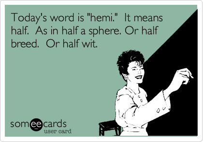 Today's word is "hemi."  It meanshalf.  As in half a sphere. Or halfbreed.  Or half wit.