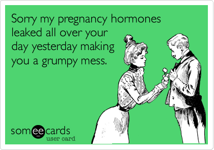 Sorry my pregnancy hormones leaked all over your
day yesterday making
you a grumpy mess.