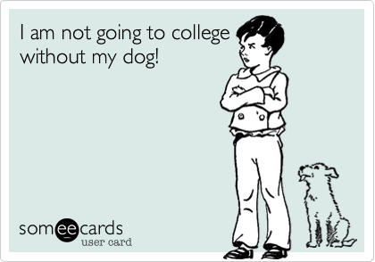 I am not going to college
without my dog!