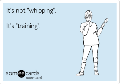 It's not "whipping".

It's "training".