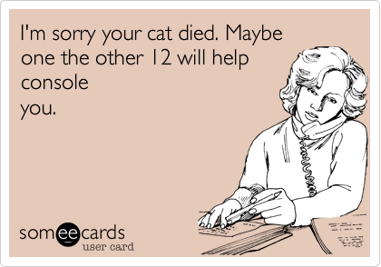 I'm sorry your cat died. Maybe
one the other 12 will help
console
you.