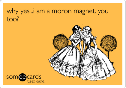 why yes...i am a moron magnet. you too?