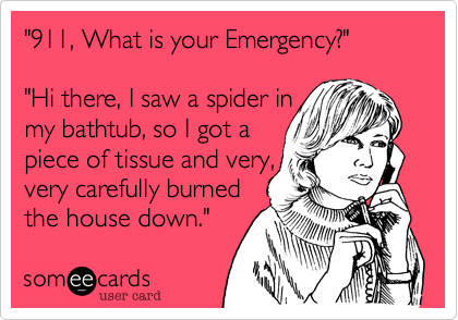 "911, What is your Emergency?"

"Hi there, I saw a spider in
my bathtub, so I got a
piece of tissue and very,
very carefully burned
the house down."