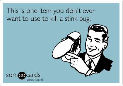 This is one item you don't ever want to use to kill a stink bug.