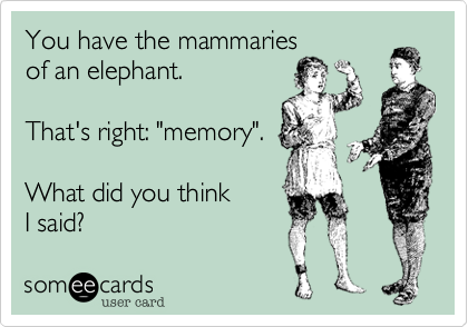 You have the mammariesof an elephant.That's right: "memory".What did you thinkI said?