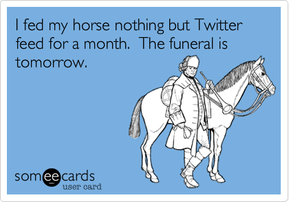 I fed my horse nothing but Twitter feed for a month.  The funeral is tomorrow. 