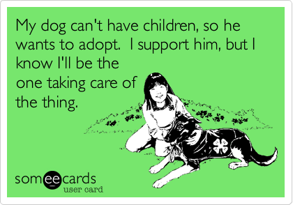 My dog can't have children, so he wants to adopt.  I support him, but I know I'll be the
one taking care of
the thing.