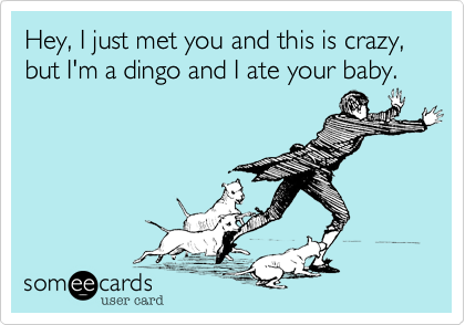 Hey, I just met you and this is crazy, but I'm a dingo and I ate your baby.