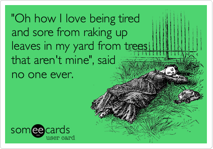 "Oh how I love being tired
and sore from raking up
leaves in my yard from trees
that aren't mine", said
no one ever.