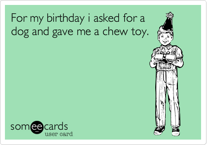 For my birthday i asked for adog and gave me a chew toy.