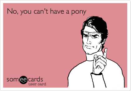 No, you can't have a pony