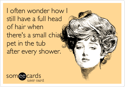 I often wonder how I
still have a full head
of hair when
there's a small chia
pet in the tub
after every shower.