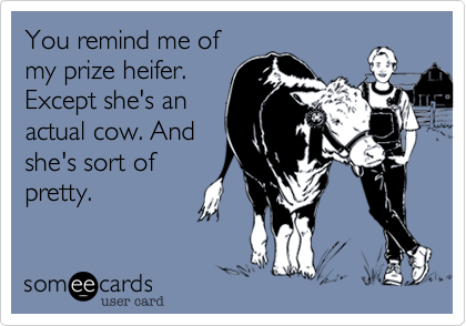 You remind me of
my prize heifer.
Except she's an
actual cow. And
she's sort of
pretty.
