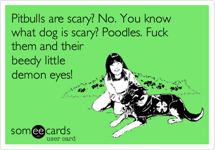 Pitbulls are scary? No. You know what dog is scary? Poodles. Fuck them and their
beedy little
demon eyes!