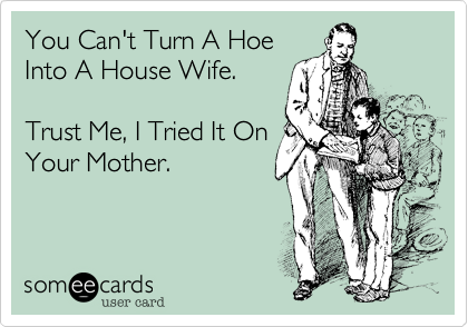 You Can't Turn A Hoe
Into A House Wife. 

Trust Me, I Tried It On
Your Mother.