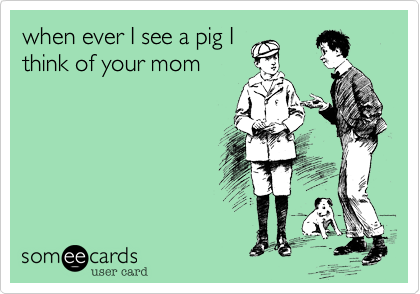when ever I see a pig I
think of your mom