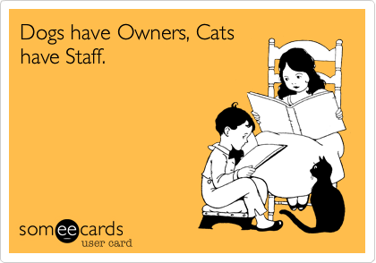 Dogs have Owners, Cats
have Staff.