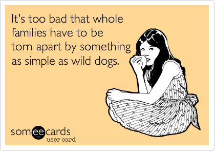 It's too bad that whole 
families have to be 
torn apart by something 
as simple as wild dogs.