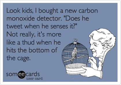 Look kids, I bought a new carbon monoxide detector. "Does he tweet when he senses it?" 
Not really, it's more
like a thud when he
hits the bottom of
the cage.