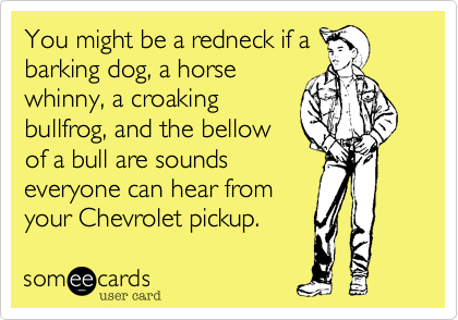 You might be a redneck if a
barking dog, a horse
whinny, a croaking
bullfrog, and the bellow
of a bull are sounds
everyone can hear from
your Chevrolet pickup.
