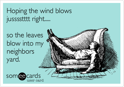 Hoping the wind blows
jusssstttt right.....

so the leaves
blow into my
neighbors 
yard.