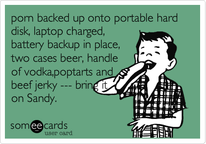 porn backed up onto portable hard disk, laptop charged, 
battery backup in place, 
two cases beer, handle 
of vodka,poptarts and 
beef jerky --- bring it 
on Sandy. 