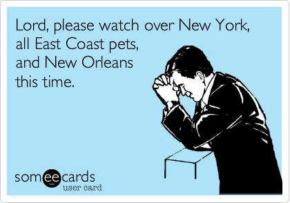 Lord, please watch over New York, all East Coast pets,
and New Orleans 
this time.