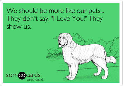 We should be more like our pets... They don't say, "I Love You!" They show us.