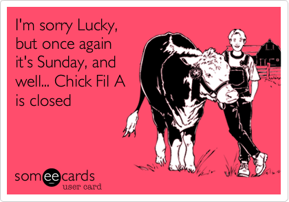 I'm sorry Lucky,
but once again
it's Sunday, and 
well... Chick Fil A
is closed