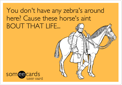 You don't have any zebra's around here? Cause these horse's aint BOUT THAT LIFE...