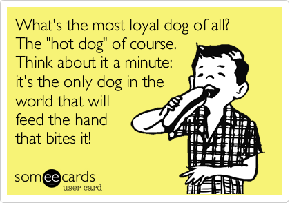 What's the most loyal dog of all? The "hot dog" of course.
Think about it a minute: 
it's the only dog in the
world that will
feed the hand 
that bites it!