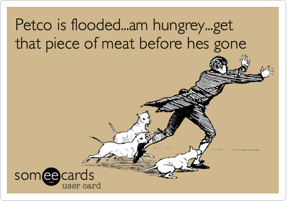 Petco is flooded...am hungrey...get that piece of meat before hes gone