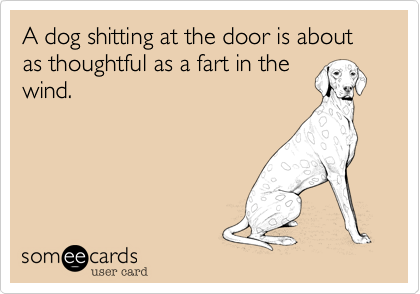 A dog shitting at the door is about as thoughtful as a fart in the
wind.