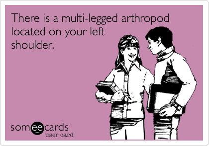 There is a multi-legged arthropod located on your left
shoulder. 